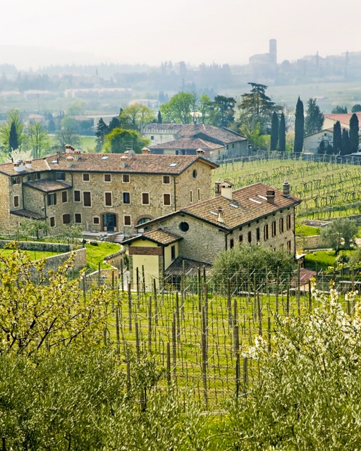 Loading Image